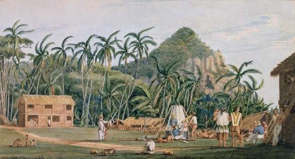 A view of the village at Pitcairn Island, December 1825 by Romanticism