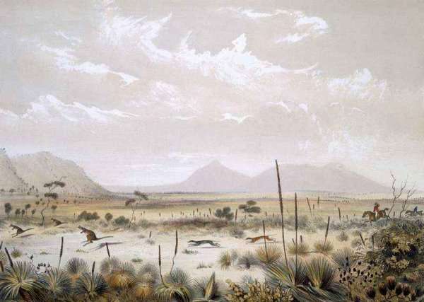 Kangaroo Hunting near Port Lincoln, from 'South Australia Illustrated' by Romanticism