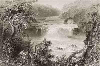 Salmon Leap at Leixlip, County Kildare by Romanticism