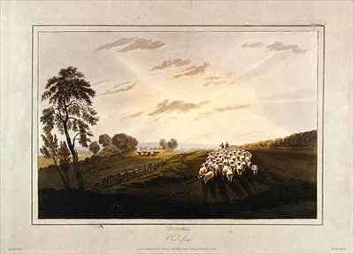 Afternoon A View in Surrey by Romanticism