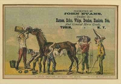 A crack trotter between the heats by Romanticism