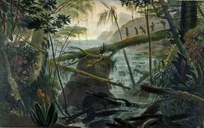 Indians using a Fallen Tree trunk to Cross the Rio Paraiba do Sul by Romanticism