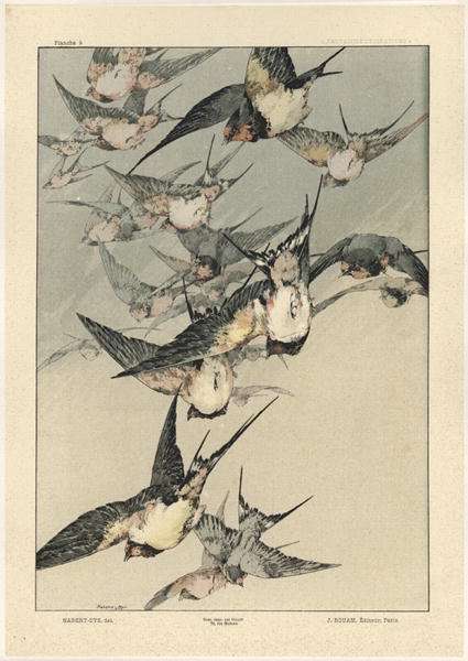 Birds plate 5 from Fantaisies decoratives by Romanticism