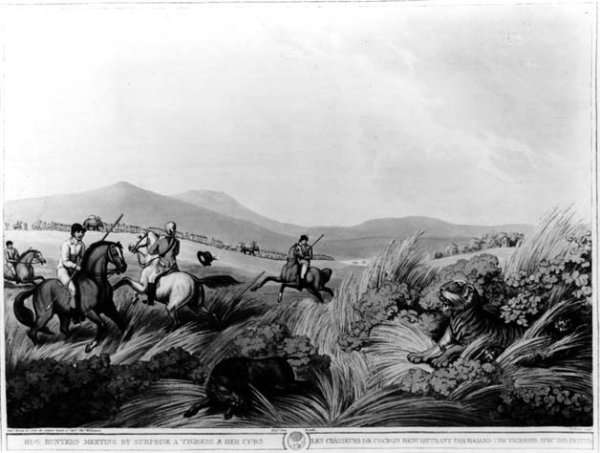 Hog Hunters Meeting by Romanticism