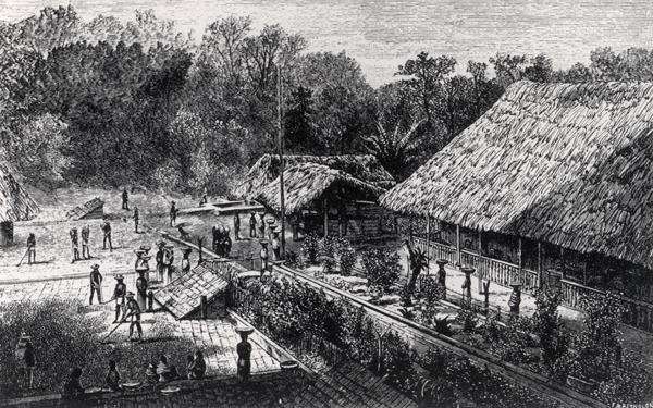 Workers on a Coffee Plantation by Romanticism