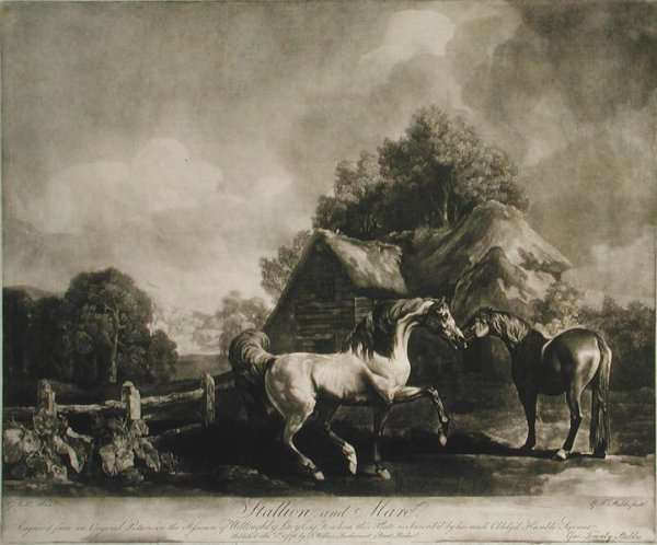 Stallion and Mare, engraved by George Townley Stubbs 1756-1815 1776 by Romanticism