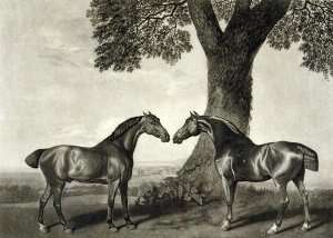 Two Hunters, engraved by G.T. Stubbs bap.1748-c.1815 by Romanticism