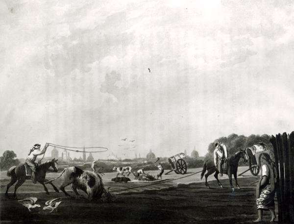 South Matadero public Butchery engraved by Maile and Sutherland, 1820 by Romanticism