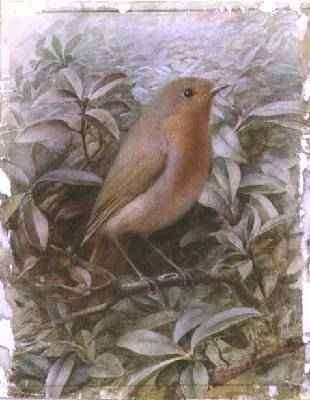 Robin on a Twig by Romanticism