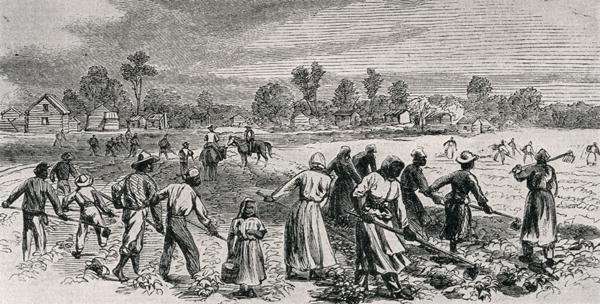 Labour in the Cotton Fields, Hoeing the Young Plants, illustration from Harpers Weekly, 1867, from The Pageant of America, Vol.3, by Ralph Henry Gabriel, 1926 by Romanticism