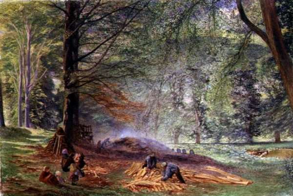 Charcoal Burners in Rokeby Park by Romanticism
