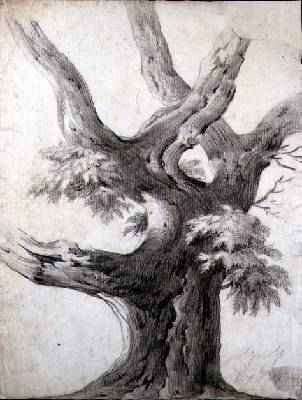 Study of a Tree 1823 by Romanticism