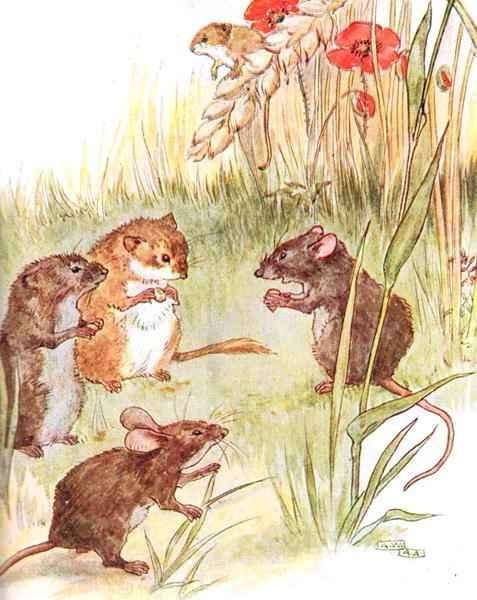 'Am staying with friends in the country', illustration from 'The Mischievious Mousie Book' by Romanticism