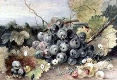 Grapes and Strawberries by Romanticism