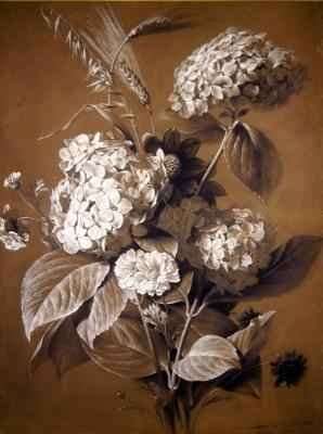 Hortensias by Romanticism