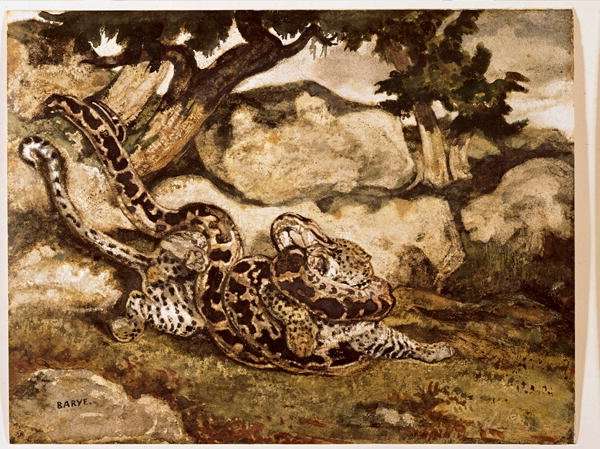 A Python Killing a Tiger by Romanticism