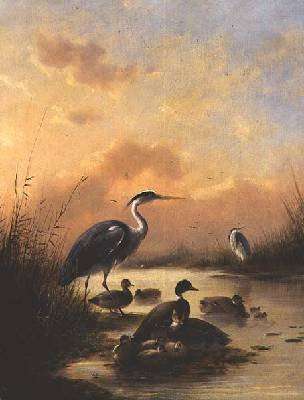 A family of Mallard and two Herons by Romanticism