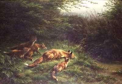 Foxes waiting for the prey by Romanticism