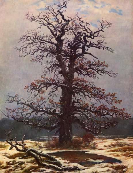 Oak in the Snow 1820s by Romanticism
