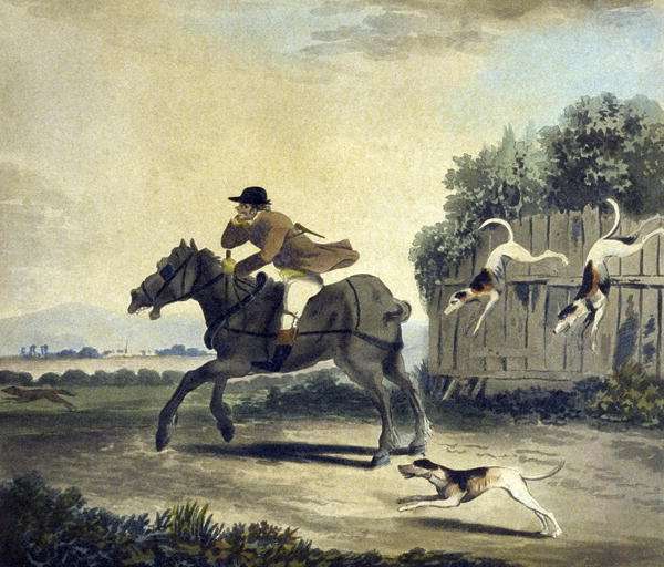 The Fore Horse of the Team, from The Pytchley Hunt, engraved by F.Dukes 1745-1812, 1790 by Romanticism