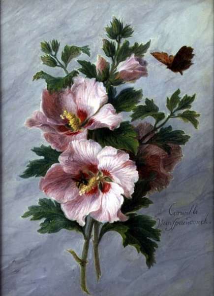 Hibiscus against a Marble Ledge by Romanticism