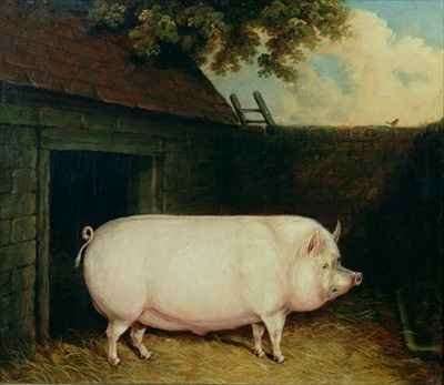 A Pig in its Sty by Romanticism
