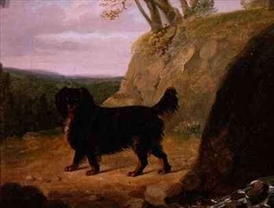 A Cocker Spaniel in the Landscape by Romanticism