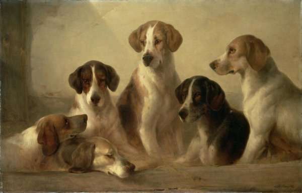 Hounds by Romanticism