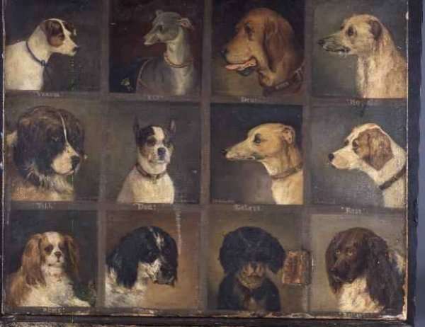 Twelve Favourite Dogs by Romanticism