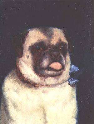 A Pug 1895 by Romanticism