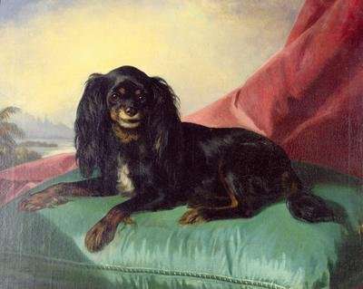 A King Charles Spaniel on a Green Cushion by Romanticism