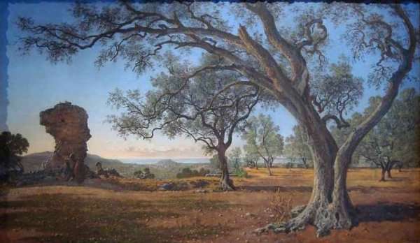 Grove of Olive Trees in Cimiez by Romanticism