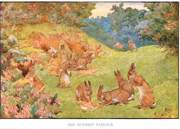 The Bunnies Parlour, illustration from 'Country Days and Country Ways' by Romanticism
