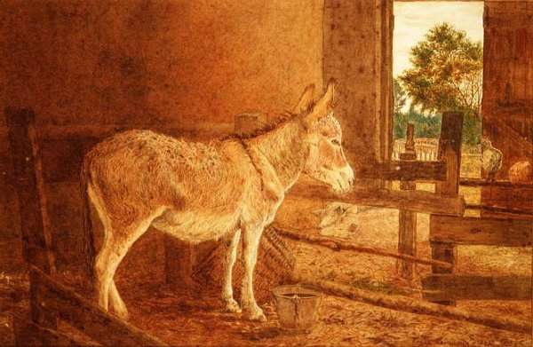 A Brown Study by Romanticism