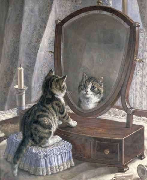 Whos The Fairest of them All by Romanticism
