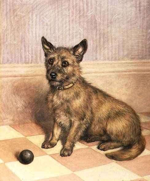 Waiting to Play, a Cairn terrier with a ball by Romanticism