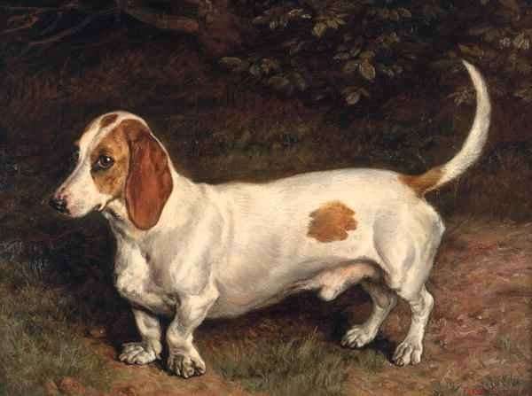 A Favourite Dachshund by Romanticism