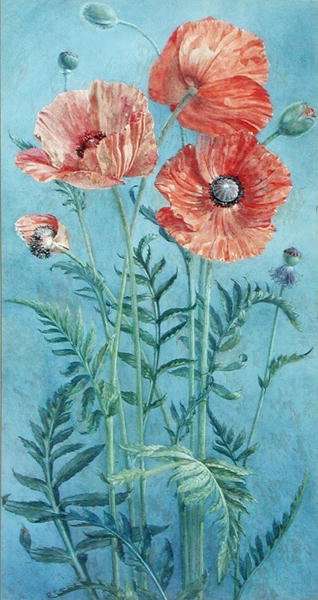 Poppies, 1916 by Romanticism