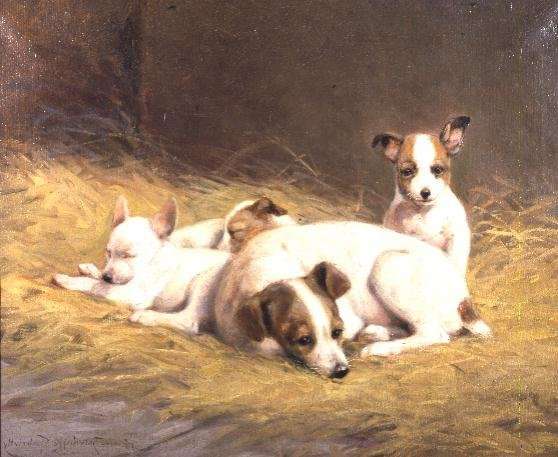 A Terrier with Three Puppies by Romanticism