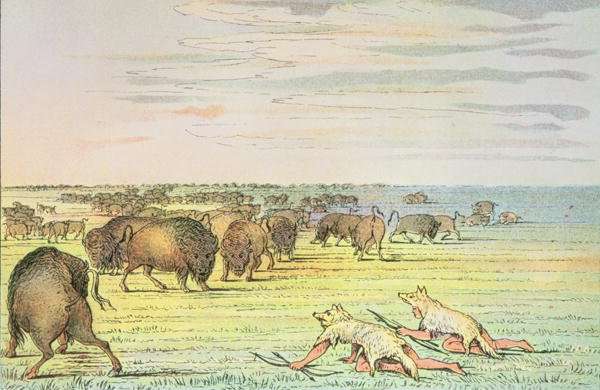 Stalking buffalo by Romanticism