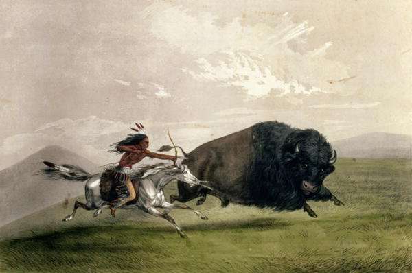 The Buffalo Chase 'Singling Out' by Romanticism