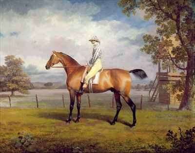 The Duke of Hamiltons Disguise with Jockey Up by Romanticism