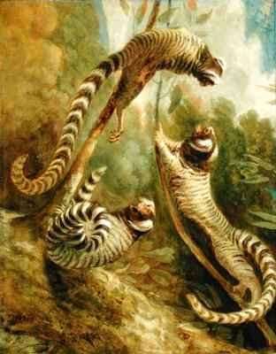 A Marmoset in Three Attitudes by Romanticism