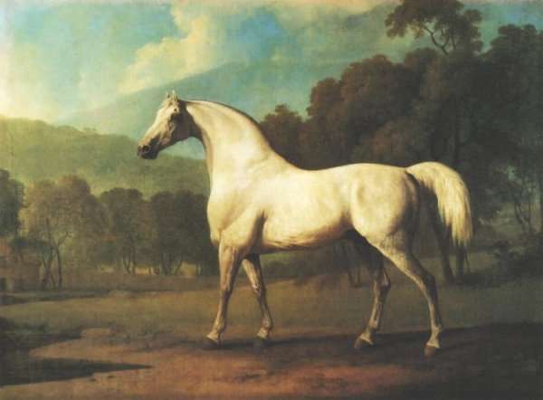 Mambrino by Romanticism