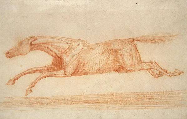 Study of a Racehorse in Action galloping to the left by Romanticism
