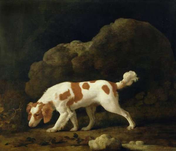 A Spaniel by Romanticism