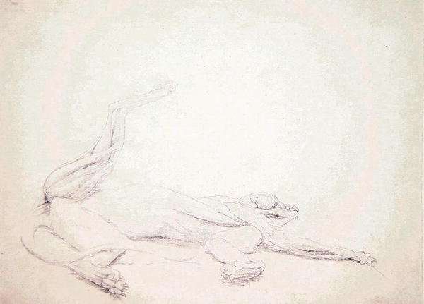 Study of a Tiger, Recumbent, Viewed Ventrally, from A Comparative Anatomical Exposition of the Structure of the Human Body with that of a Tiger and a Common Fowl, 1795-1806 by Romanticism