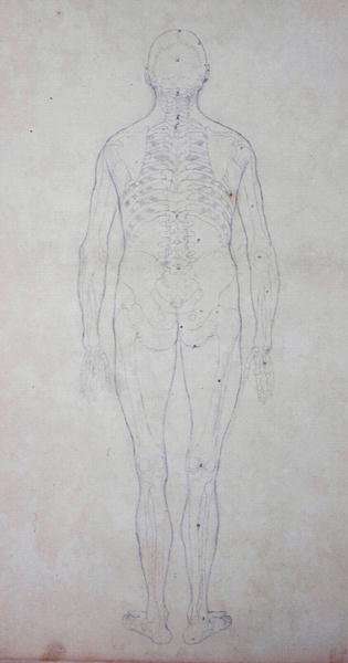 Study of the Human Figure, Posterior View, from A Comparative Anatomical Exposition of the Structure of the Human Body with that of a Tiger and a Common Fowl, c.1795-1806 3 by Romanticism