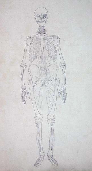 Study of the Human Figure, Anterior View, from A Comparative Anatomical Exposition of the Structure of the Human Body with that of a Tiger and a Common Fowl, c.1795-1806 4 by Romanticism