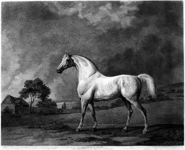 Mambrino, engraved by George Townley Stubbs 1756-1815 pub. 1794 by Romanticism